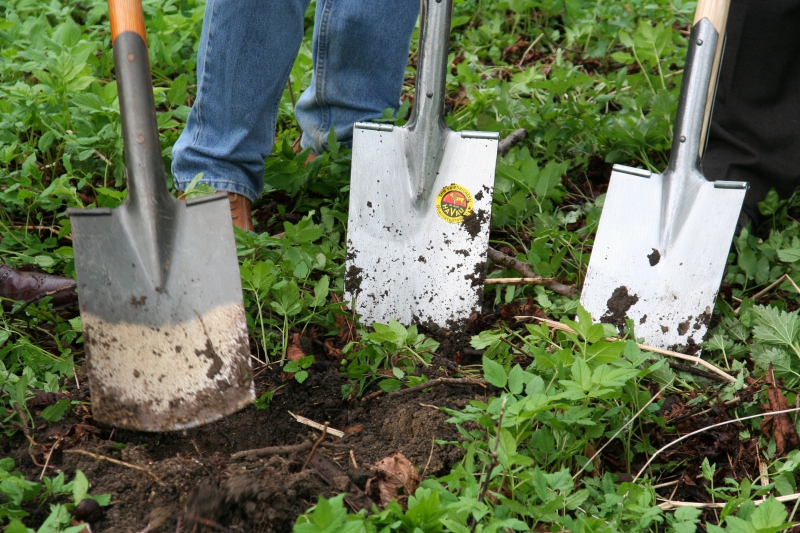 pepiniere-ROUBION-min_work-lawn-flower-tool-green-backyard-1103633-pxhere.com